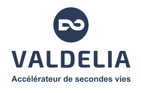 Logo Valdelia