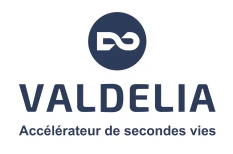logo-valdelia Logo Valdelia